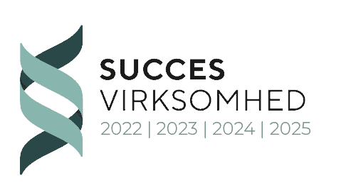 Succesvirksomhed 2022–2025